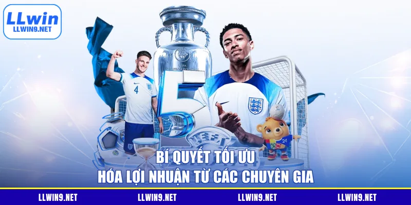 Bí quyết tối ưu hóa lợi nhuận từ các chuyên gia