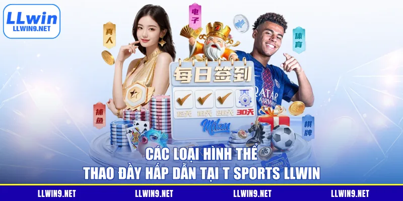Các loại hình thể thao đầy hấp dẫn tại T Sports LLWIN