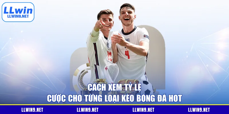 Cách xem tỷ lệ cược cho từng loại kèo bóng đá hot