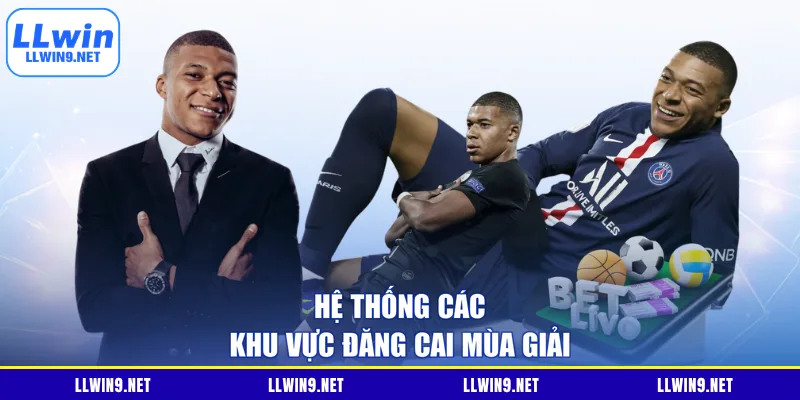 Hệ thống các khu vực đăng cai mùa giải