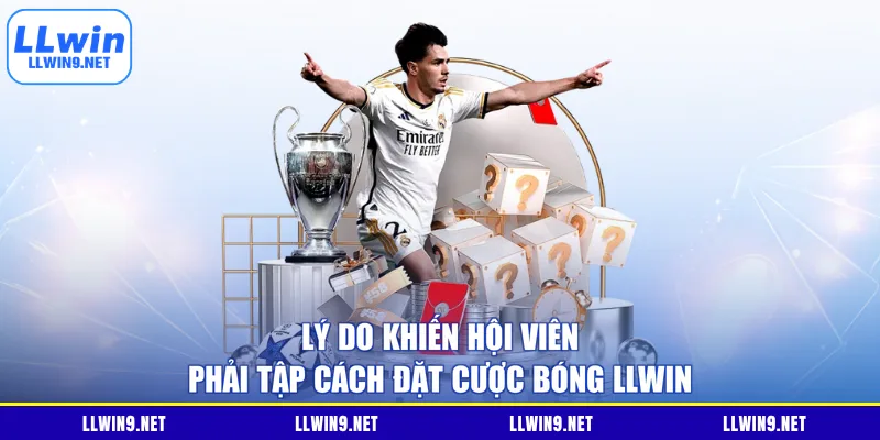 Lý do khiến hội viên phải tập cách đặt cược bóng LLWIN