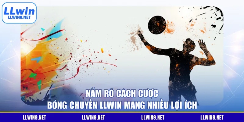 Nắm rõ cách cược bóng chuyền LLWIN mang nhiều lợi ích