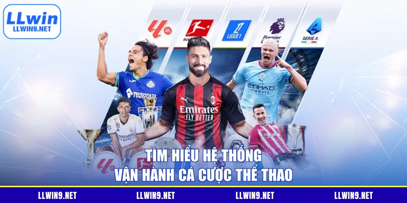 Tìm hiểu hệ thống vận hành cá cược thể thao