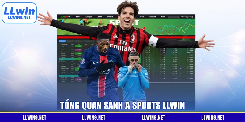 Tổng quan sảnh A Sports LLWIN
