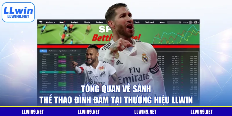 Tổng quan về sảnh thể thao đình đám tại thương hiệu LLWIN